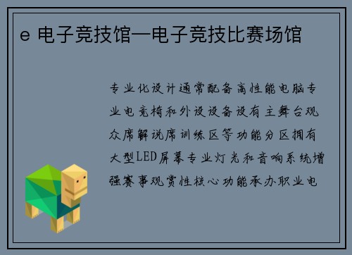 e 电子竞技馆—电子竞技比赛场馆